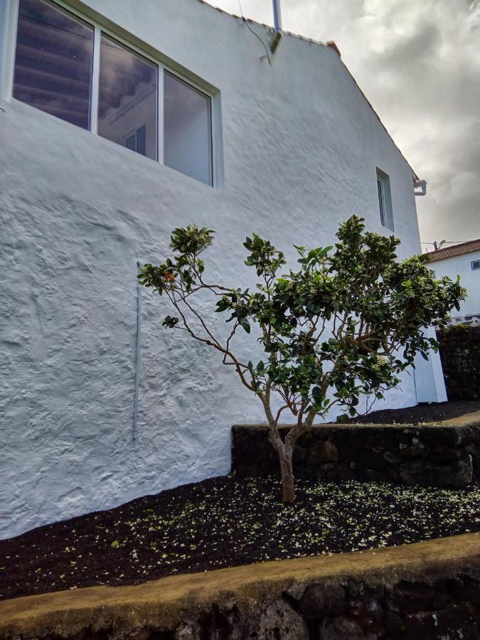 Casa Do Marcelino Lagarto Villa São Roque do Pico Buitenkant foto