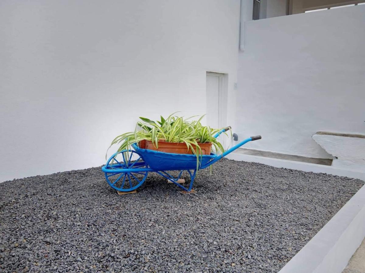 Casa Do Marcelino Lagarto Villa São Roque do Pico Buitenkant foto